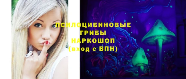 гашик Володарск
