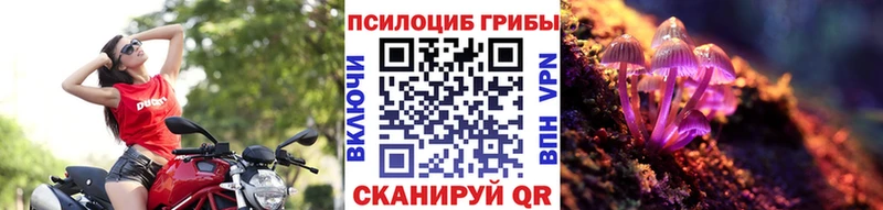 Галлюциногенные грибы Magic Shrooms  как найти наркотики  Разумное 